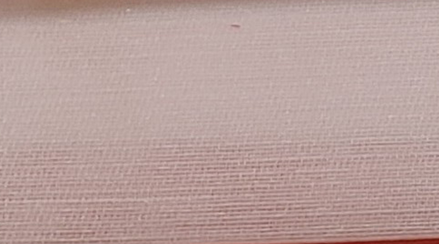 05-분홍(Pink)